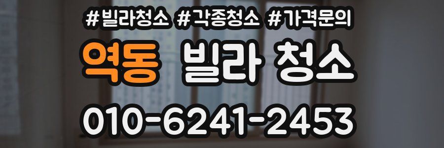 역동 빌라 청소