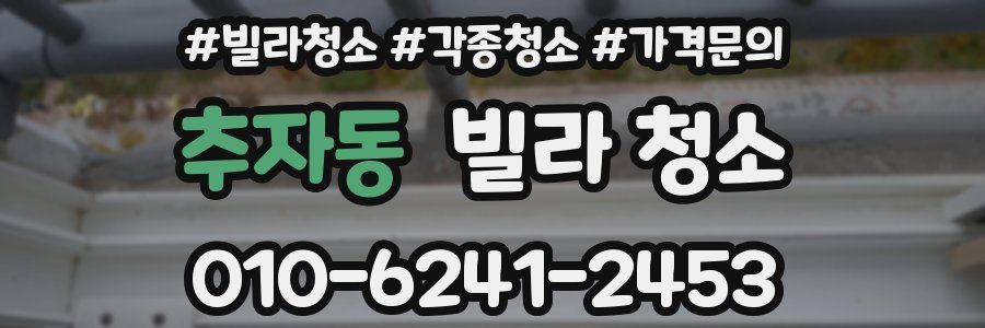 추자동 빌라 청소