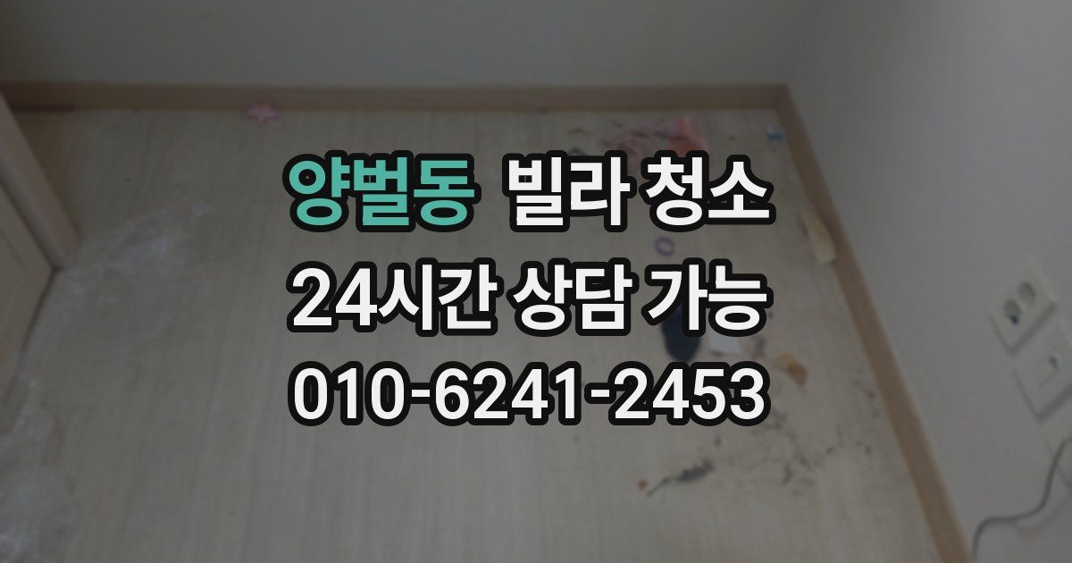 양벌동 빌라 청소