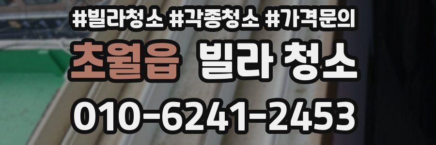 초월읍 빌라 청소