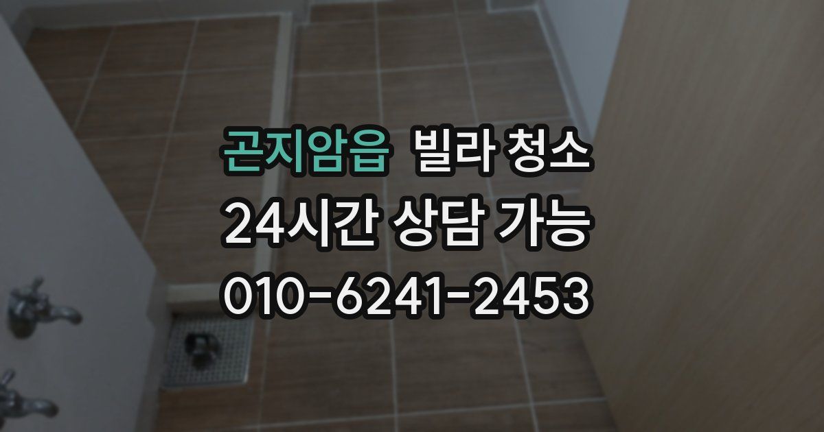 곤지암읍 빌라 청소