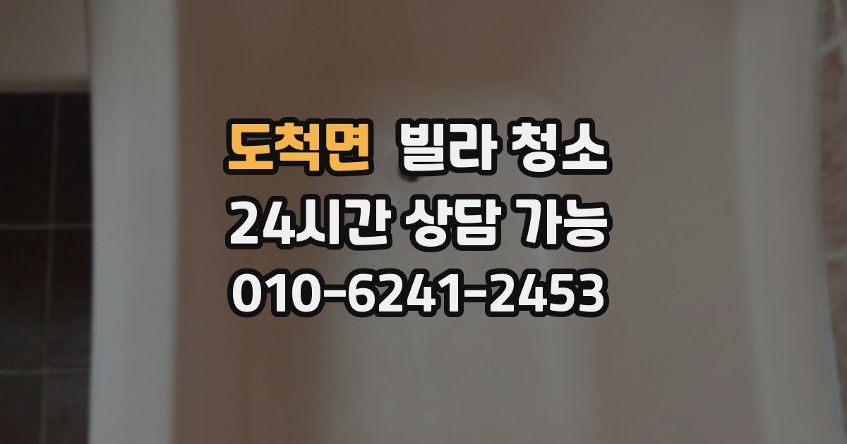 도척면 빌라 청소