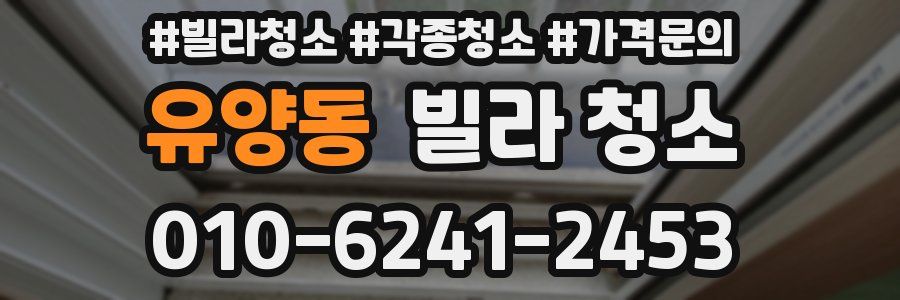 유양동 빌라 청소
