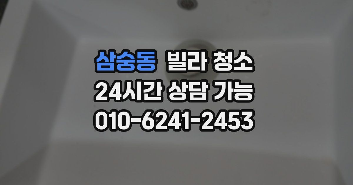 삼숭동 빌라 청소