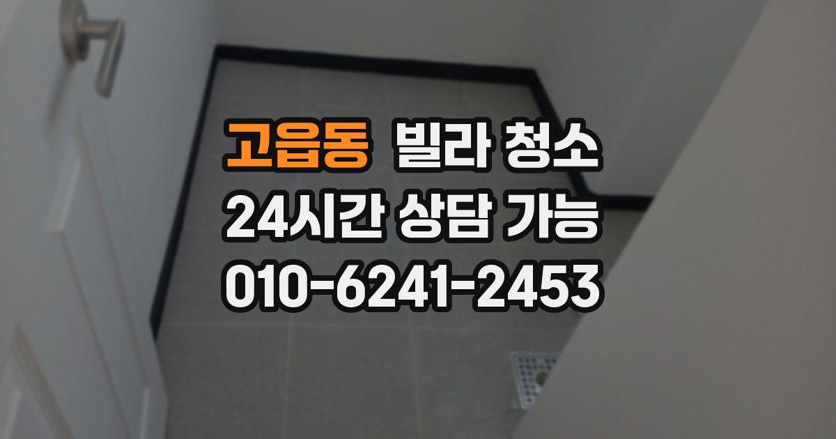 고읍동 빌라 청소