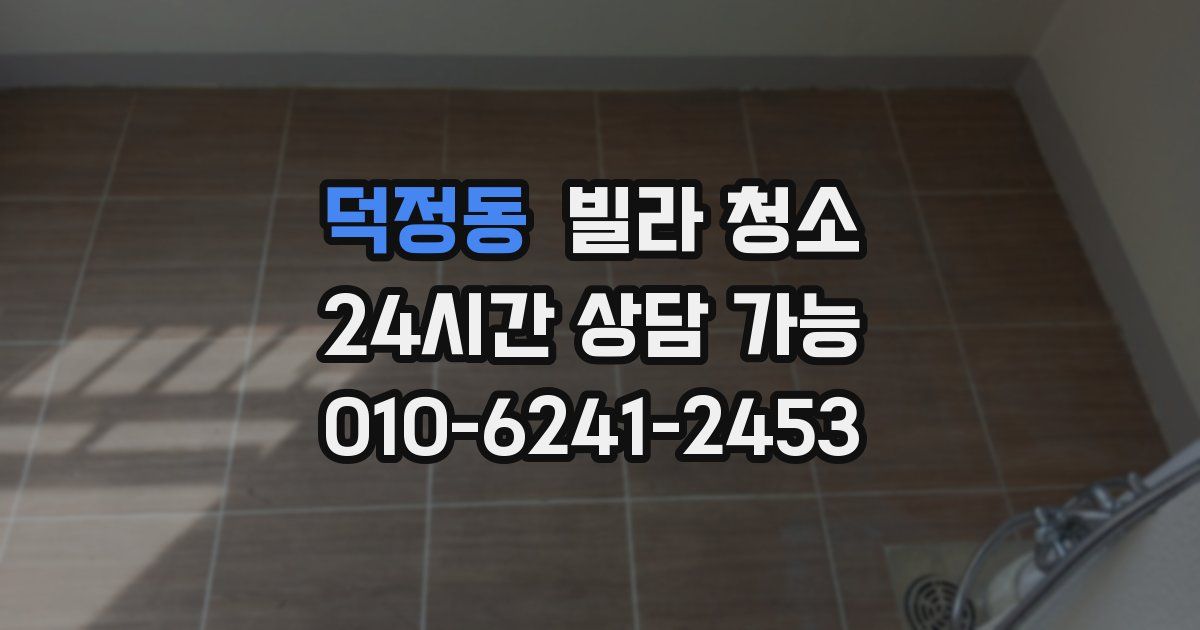 덕정동 빌라 청소