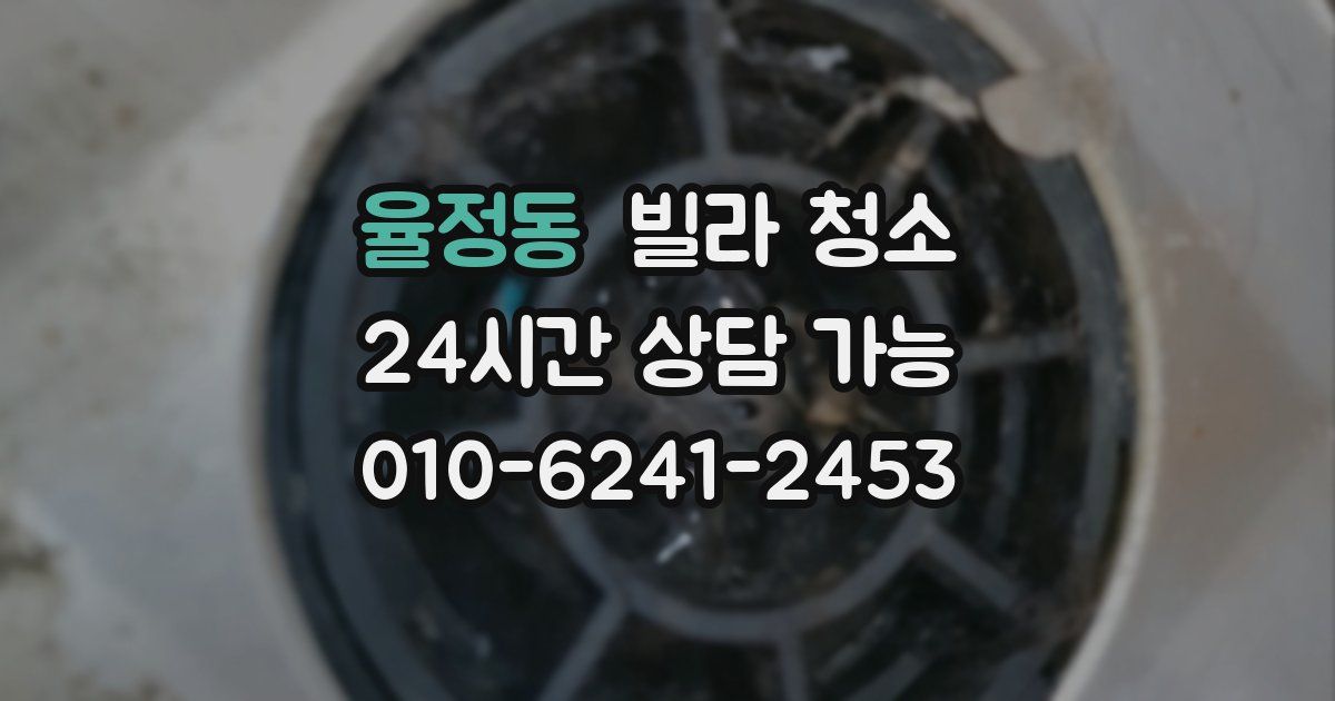 율정동 빌라 청소