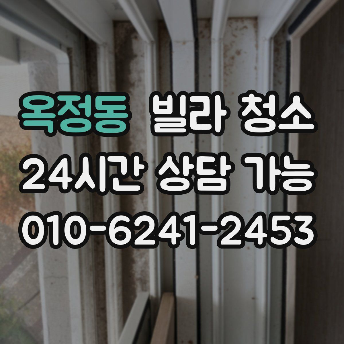 옥정동 빌라 청소