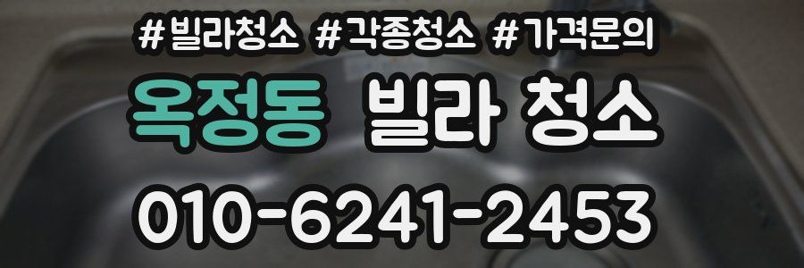 옥정동 빌라 청소