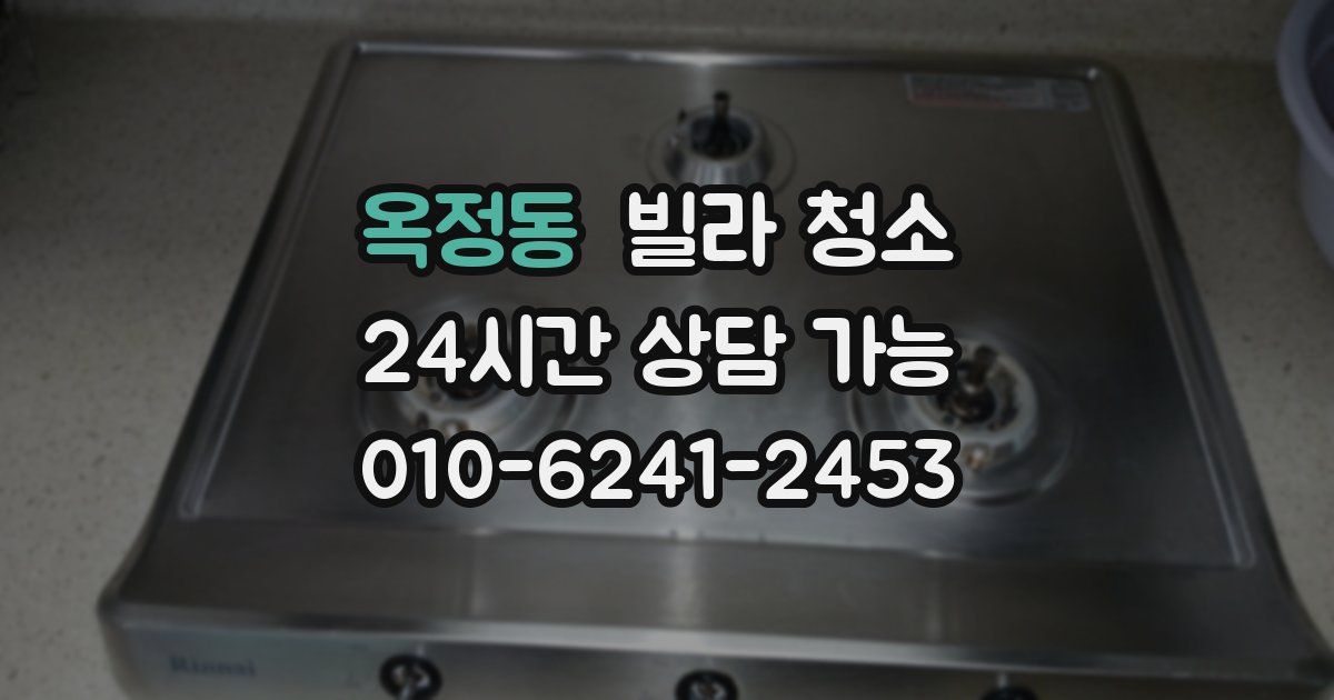 옥정동 빌라 청소