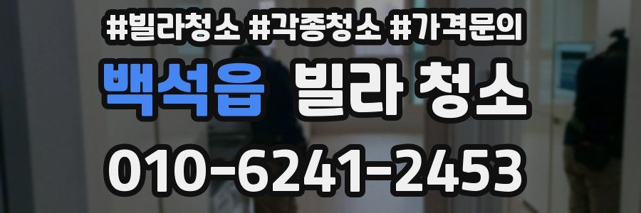 백석읍 빌라 청소