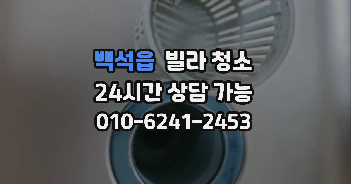 백석읍 빌라 청소