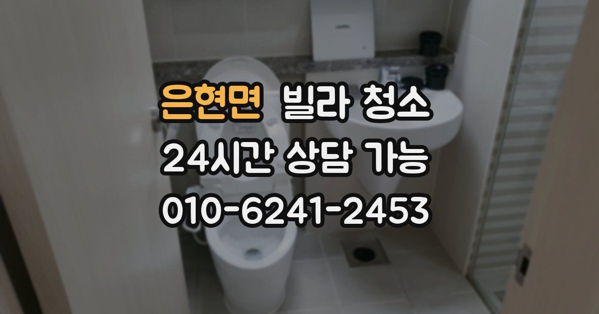 은현면 빌라 청소