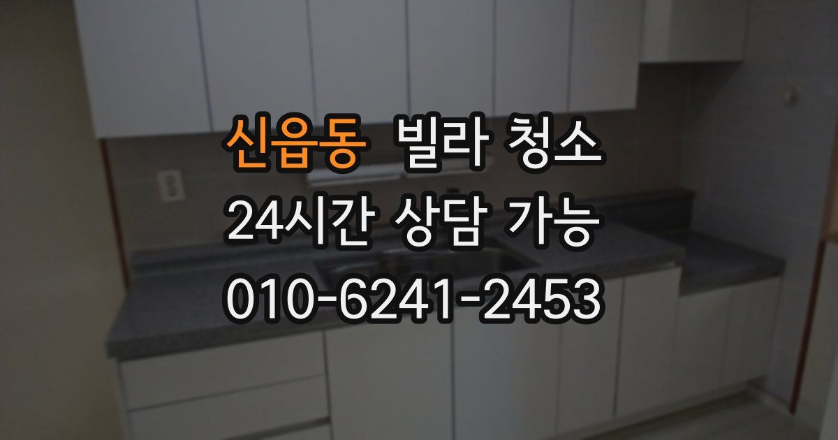 신읍동 빌라 청소