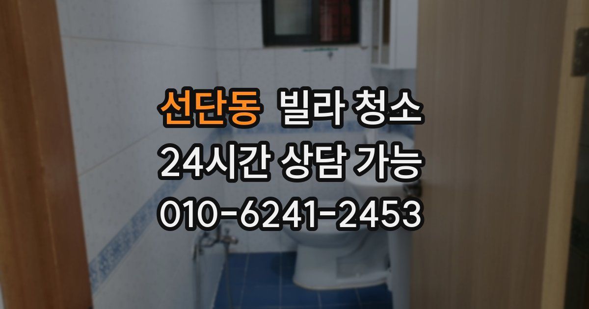 선단동 빌라 청소