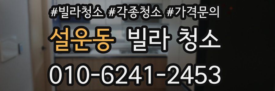 설운동 빌라 청소