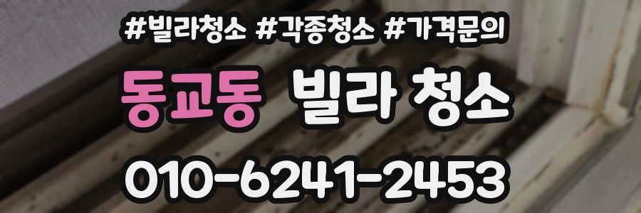 동교동 빌라 청소