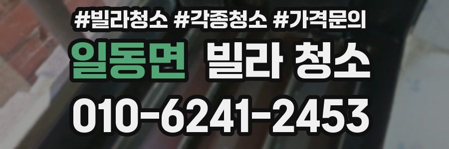 일동면 빌라 청소