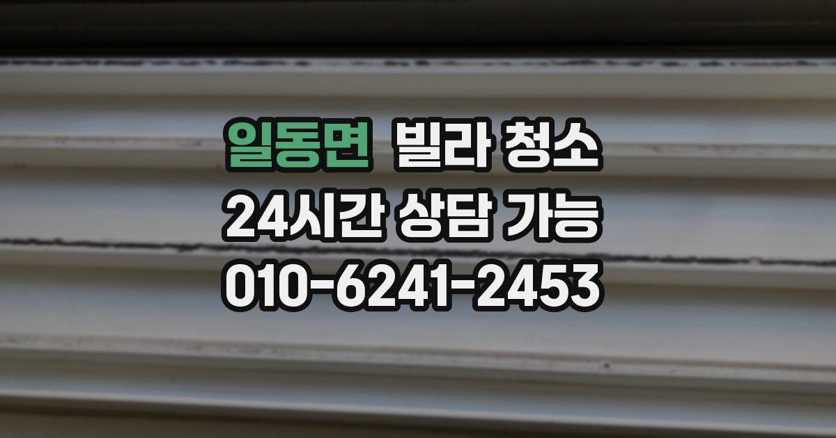 일동면 빌라 청소