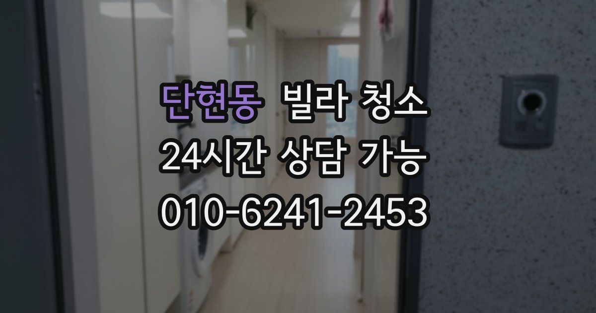단현동 빌라 청소