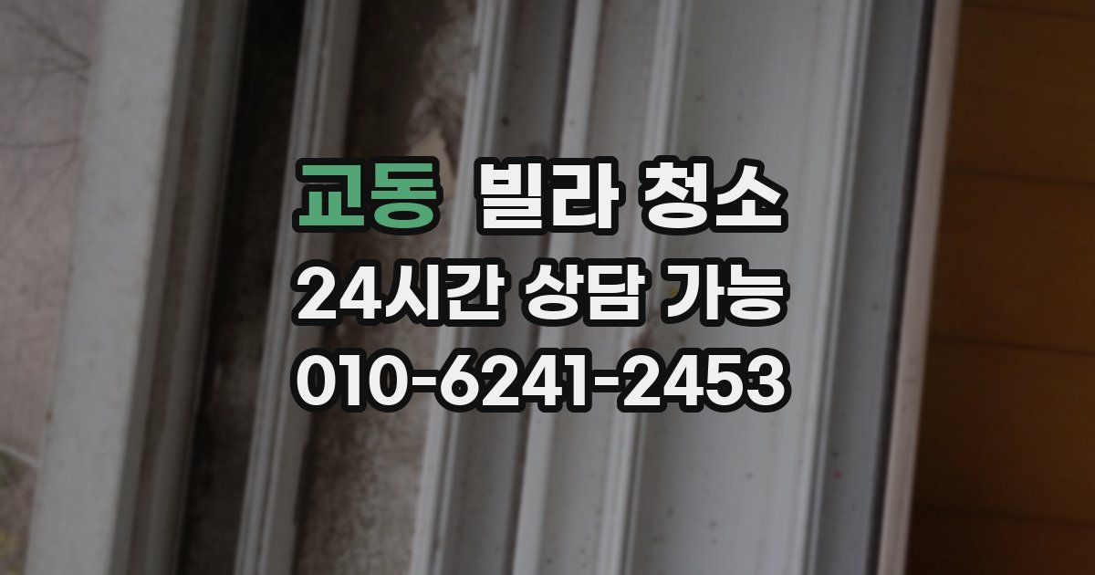 교동 빌라 청소