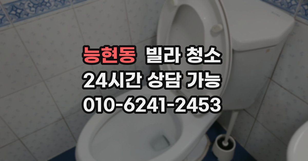 능현동 빌라 청소
