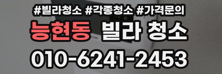 능현동 빌라 청소