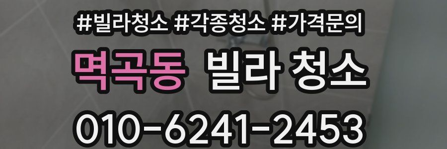 멱곡동 빌라 청소