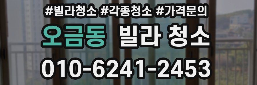 오금동 빌라 청소