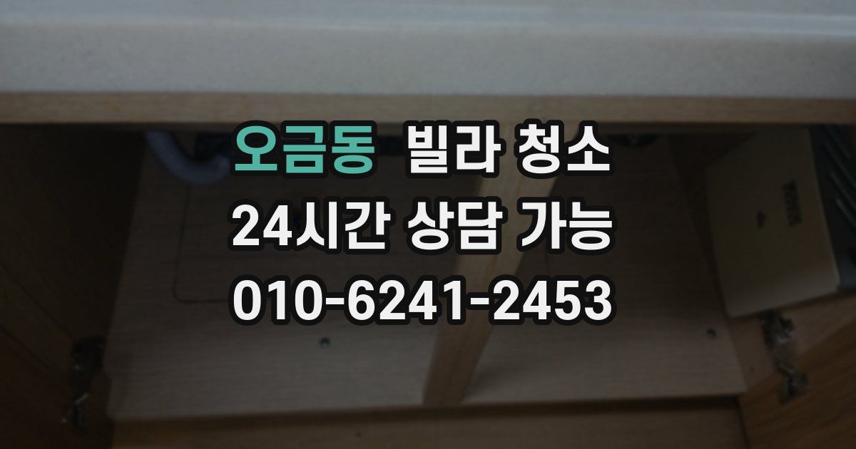 오금동 빌라 청소