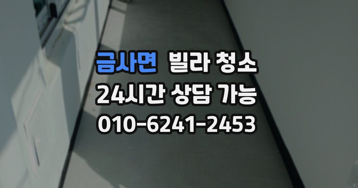 금사면 빌라 청소