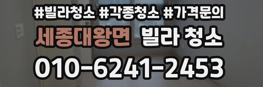 세종대왕면 빌라 청소