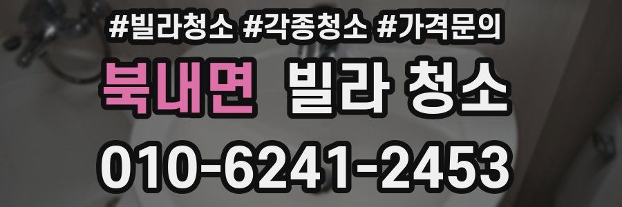 북내면 빌라 청소