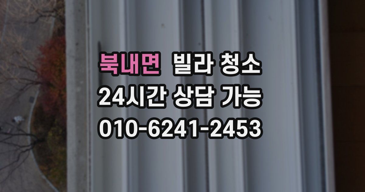 북내면 빌라 청소