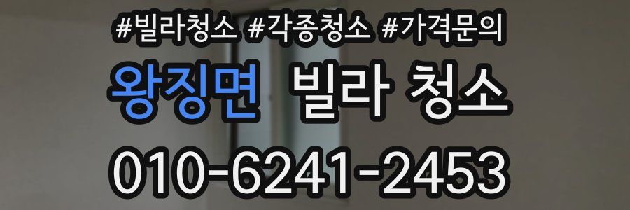 왕징면 빌라 청소