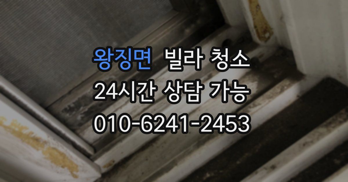 왕징면 빌라 청소