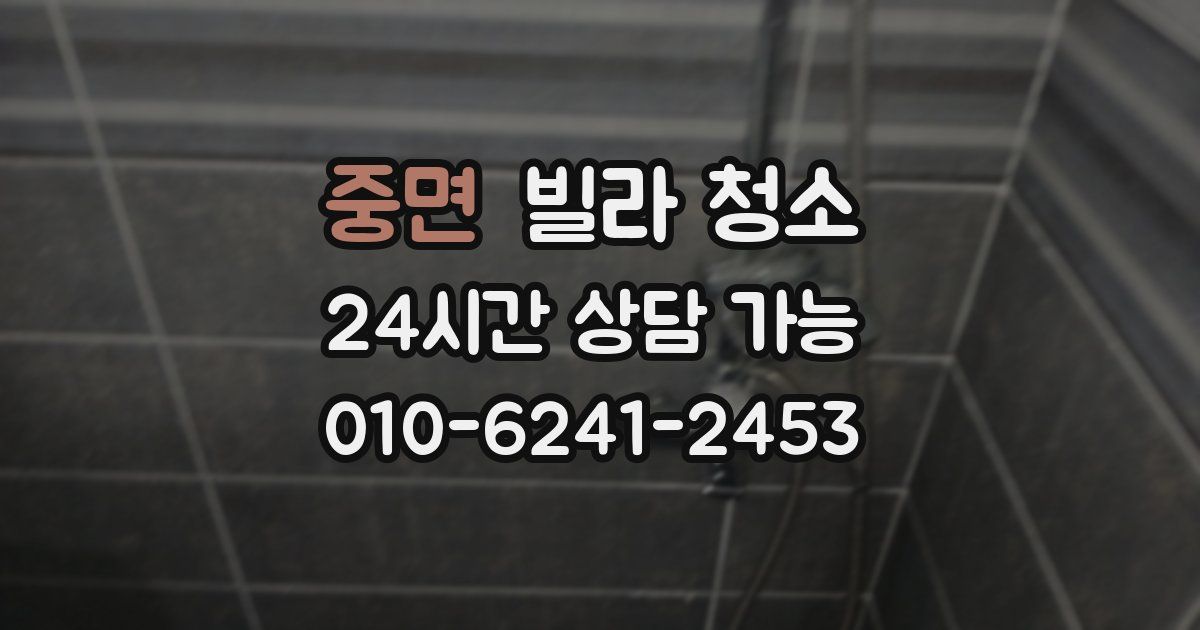 중면 빌라 청소