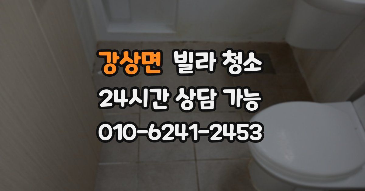 강상면 빌라 청소