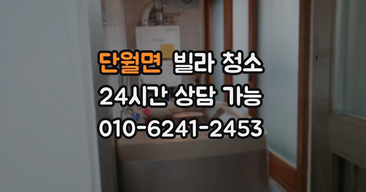 단월면 빌라 청소