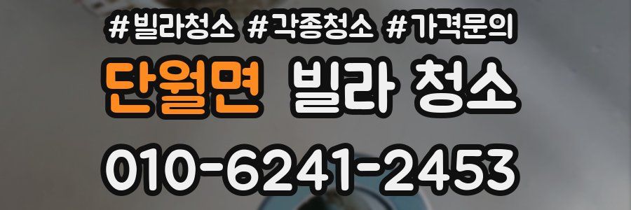 단월면 빌라 청소