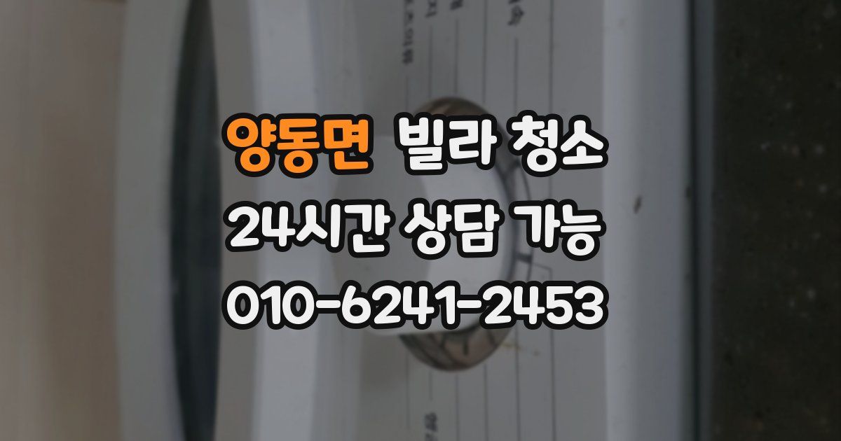 양동면 빌라 청소