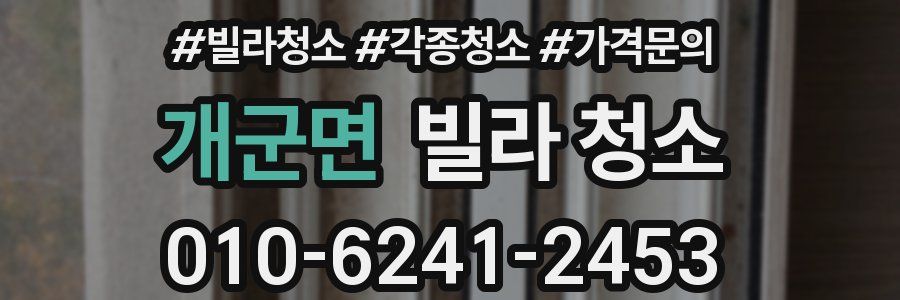 개군면 빌라 청소