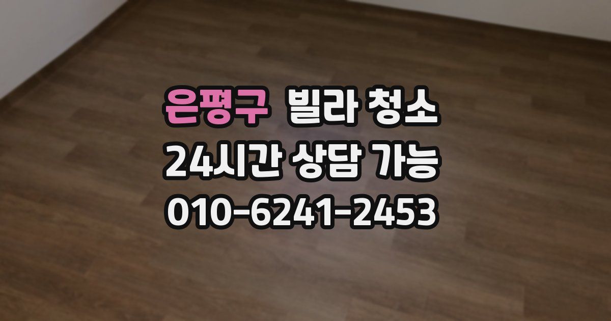 은평구 빌라 청소