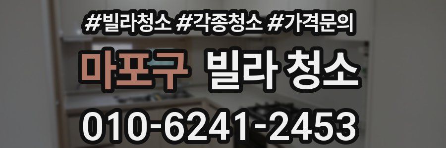 마포구 빌라 청소