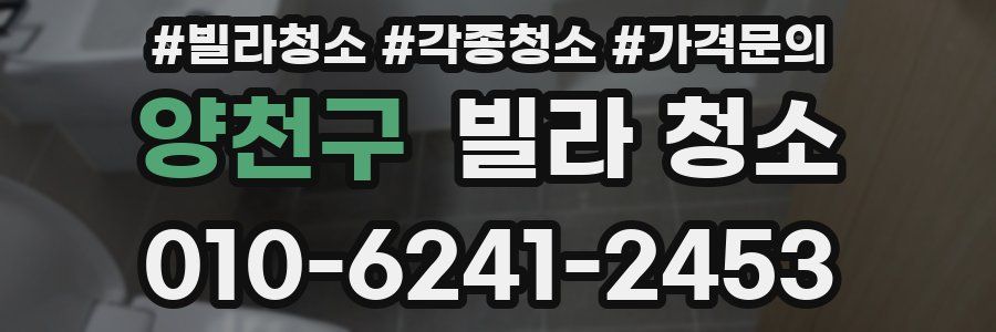 양천구 빌라 청소