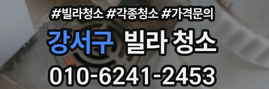 강서구 빌라 청소