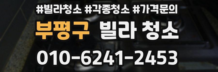 부평구 빌라 청소