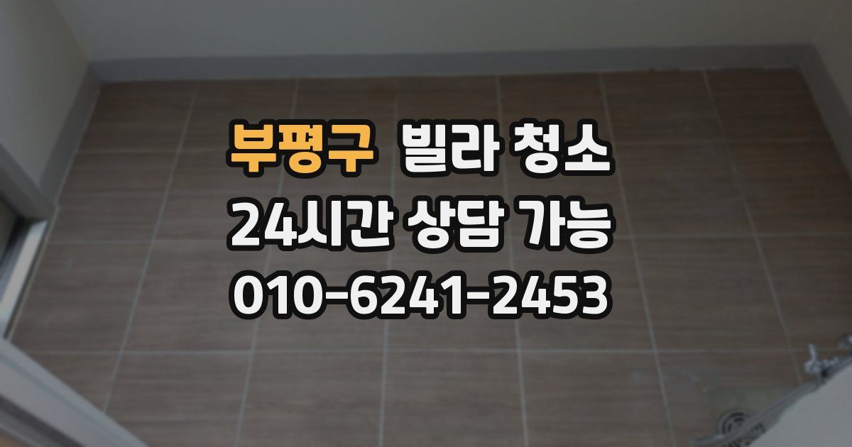 부평구 빌라 청소