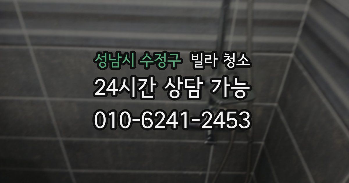 성남시 수정구 빌라 청소