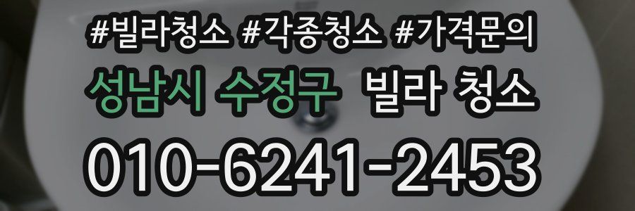 성남시 수정구 빌라 청소